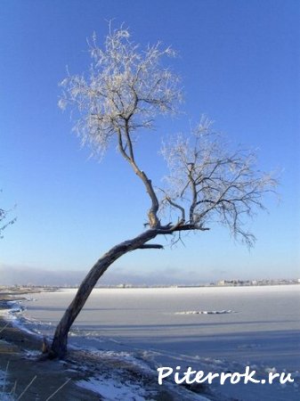 Зима.Евпатория.Украина.